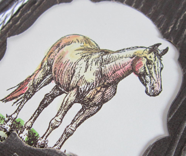 Horse Frontier - Coloring Detail